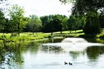 pond_2